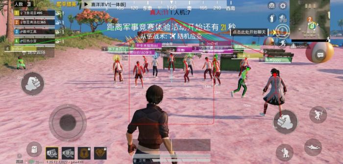 和平精英辅助证明是那些（和平精英辅助证明资料是什么）